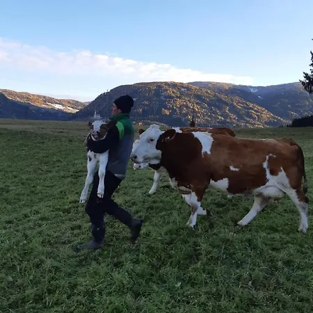 Farmház Bio Bauernhof Schoberhof *