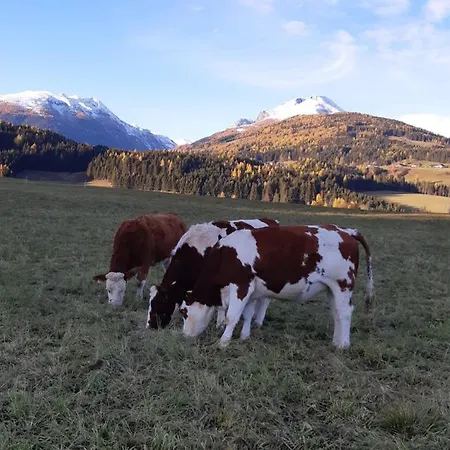 Agroturismo Bio Bauernhof Schoberhof *