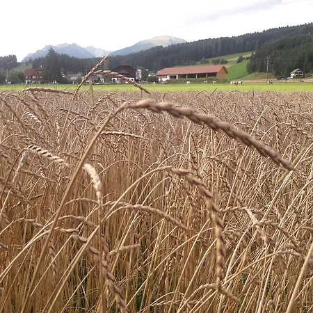Bauernhof Bio Bauernhof Schoberhof *