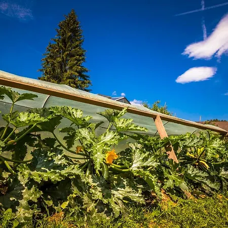 Bio Bauernhof Schoberhof * Sankt Andrä im Lungau