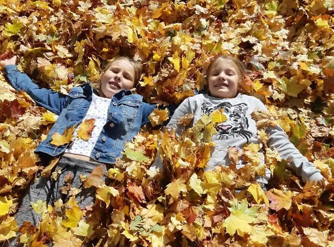 Çiftlik konaklama Bio Bauernhof Schoberhof *