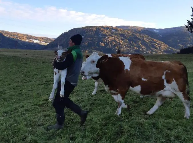 Çiftlik konaklama Bio Bauernhof Schoberhof *