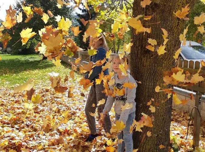 Bio Bauernhof Schoberhof Çiftlik konaklama