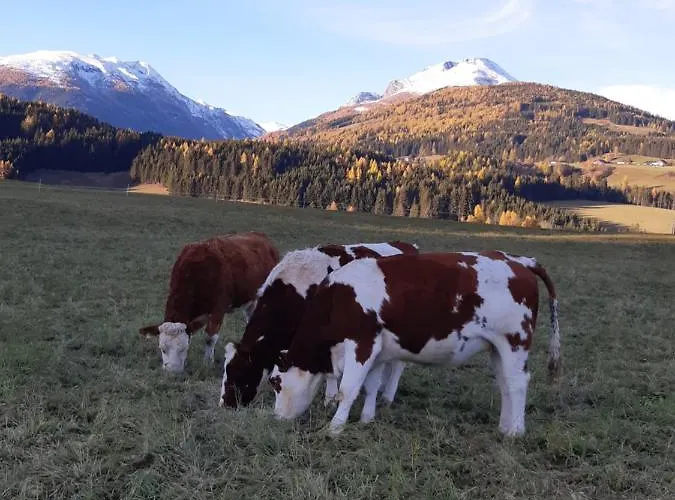 Çiftlik konaklama Bio Bauernhof Schoberhof *