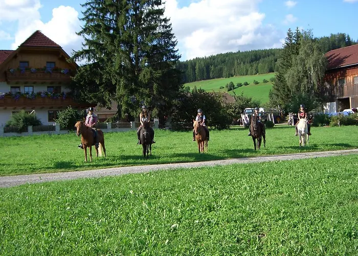 Bio Bauernhof Schoberhof Çiftlik konaklama Sankt Andrä im Lungau