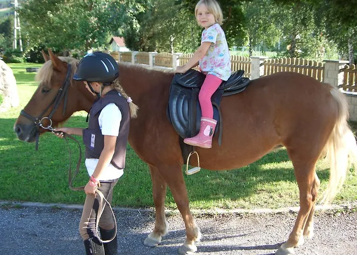 Çiftlik konaklama Bio Bauernhof Schoberhof *