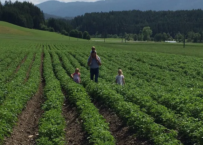 Çiftlik konaklama Bio Bauernhof Schoberhof