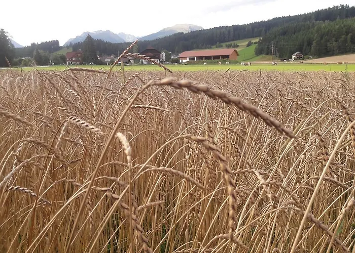 Çiftlik konaklama Bio Bauernhof Schoberhof *