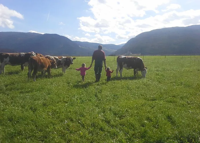 Bio Bauernhof Schoberhof Çiftlik konaklama