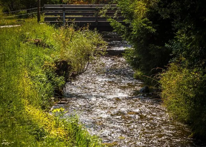 Çiftlik konaklama Bio Bauernhof Schoberhof *