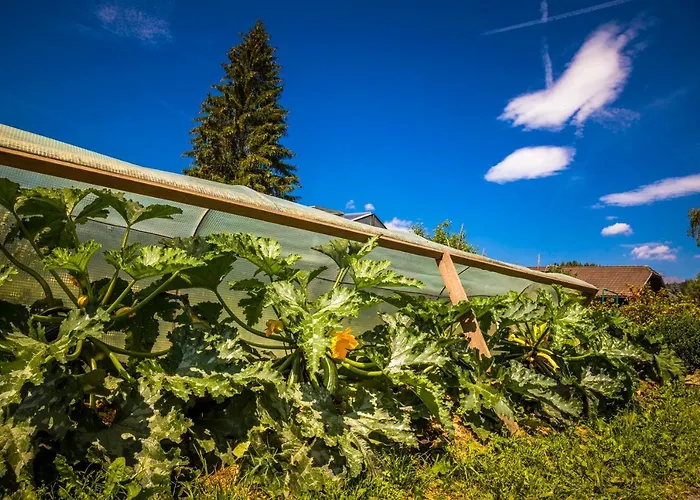 Bio Bauernhof Schoberhof * Sankt Andrä im Lungau