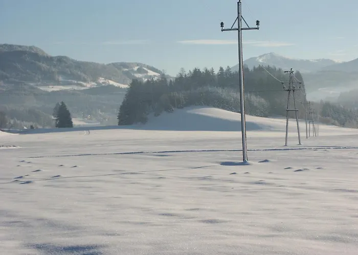 Bio Bauernhof Schoberhof Çiftlik konaklama
